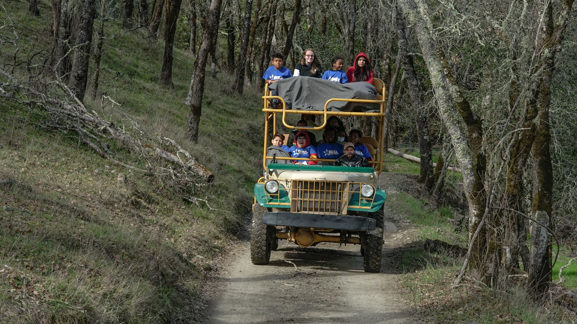 safari tour