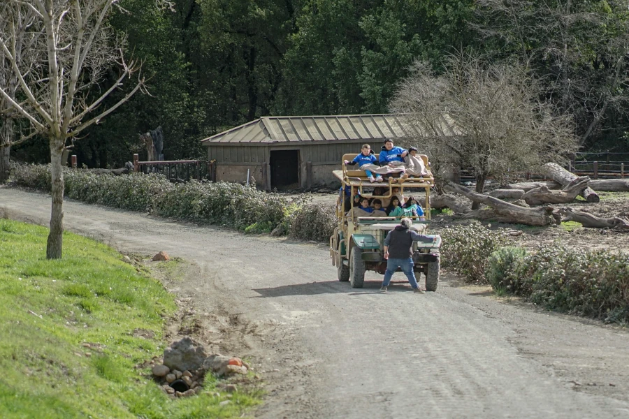 Safari vehicle on a dirt road
