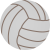 Volleyball Icon